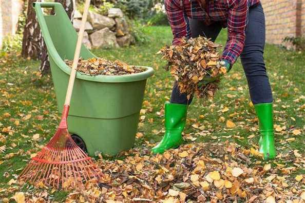 Yard Cleanup Services In Boise, ID Ideal Yard Solutions